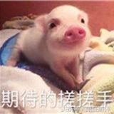 高難攻略_史上最難游戲攻略_《史上最難攻略男主》