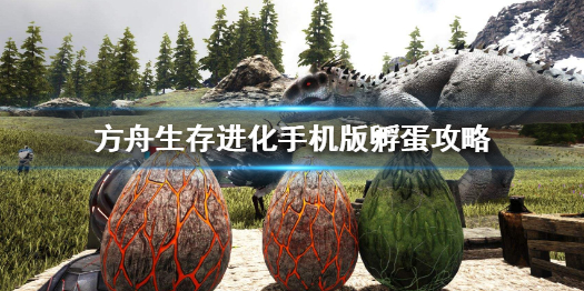 《方舟生存進化》手機版怎么孵蛋 手機版孵