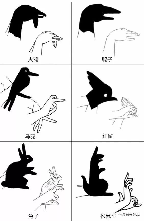 怎么做手影游戲_手影游戲的照片或繪畫_怎樣做手影游戲
